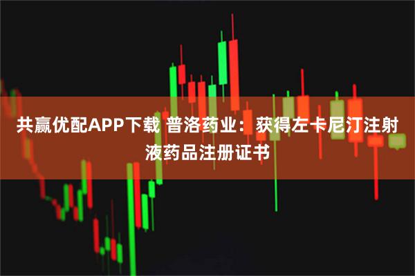 共赢优配APP下载 普洛药业：获得左卡尼汀注射液药品注册证书