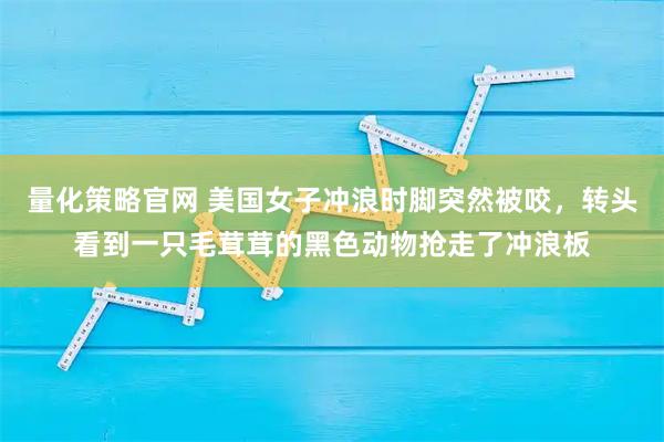 量化策略官网 美国女子冲浪时脚突然被咬，转头看到一只毛茸茸的黑色动物抢走了冲浪板