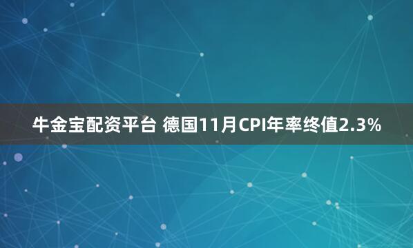 牛金宝配资平台 德国11月CPI年率终值2.3%