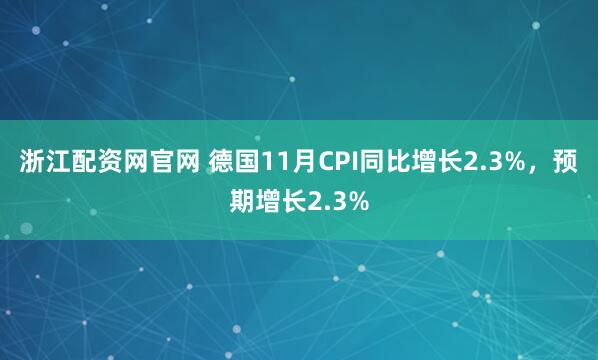浙江配资网官网 德国11月CPI同比增长2.3%，预期增长2.3%