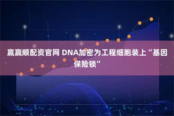 赢赢顺配资官网 DNA加密为工程细胞装上“基因保险锁”