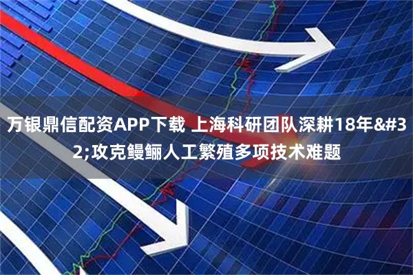 万银鼎信配资APP下载 上海科研团队深耕18年 攻克鳗鲡人工繁殖多项技术难题