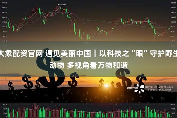 大象配资官网 遇见美丽中国｜以科技之“眼”守护野生动物 多视角看万物和谐
