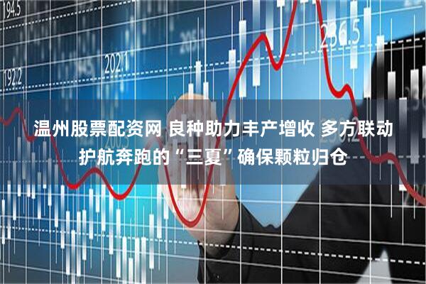 温州股票配资网 良种助力丰产增收 多方联动护航奔跑的“三夏”确保颗粒归仓