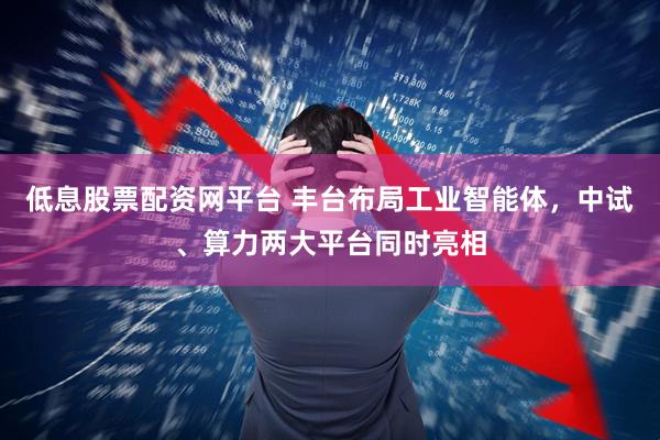 低息股票配资网平台 丰台布局工业智能体，中试、算力两大平台同时亮相