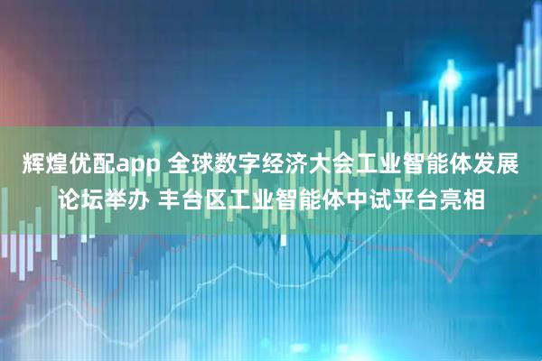 辉煌优配app 全球数字经济大会工业智能体发展论坛举办 丰台区工业智能体中试平台亮相